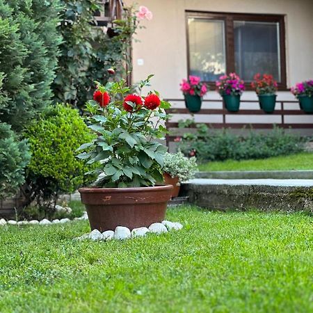 City Centar Apartman سراييفو المظهر الخارجي الصورة
