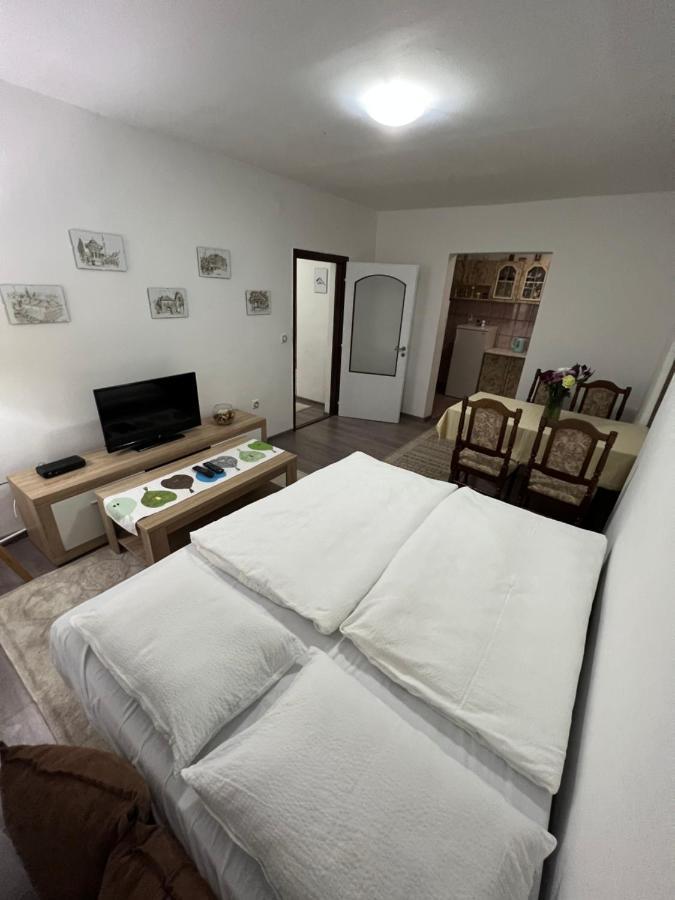 City Centar Apartman سراييفو المظهر الخارجي الصورة