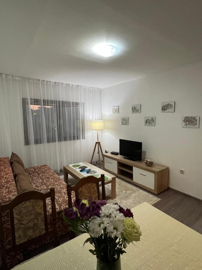 City Centar Apartman سراييفو المظهر الخارجي الصورة